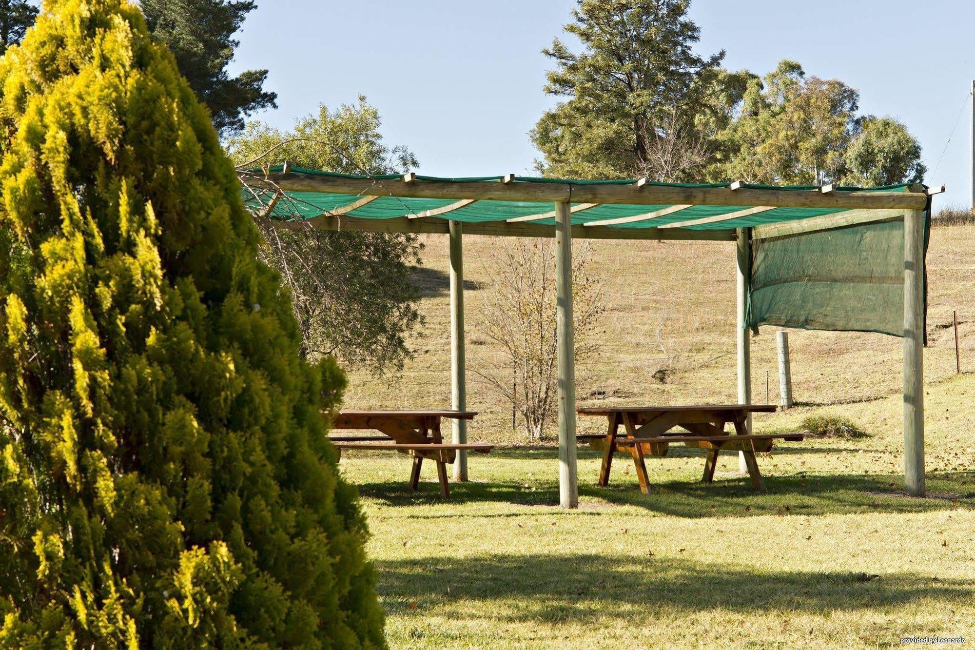 Hilltops Retreat Motor Inn Young Restaurante foto